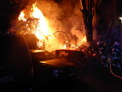 Feuer